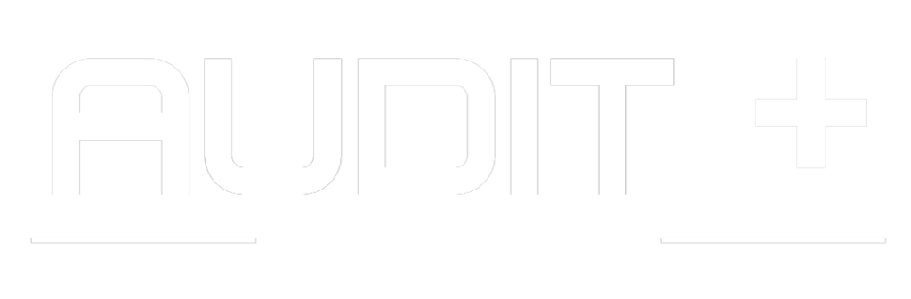 audit plus audit+